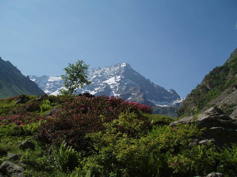 Youri - Ecrins 2005 048 